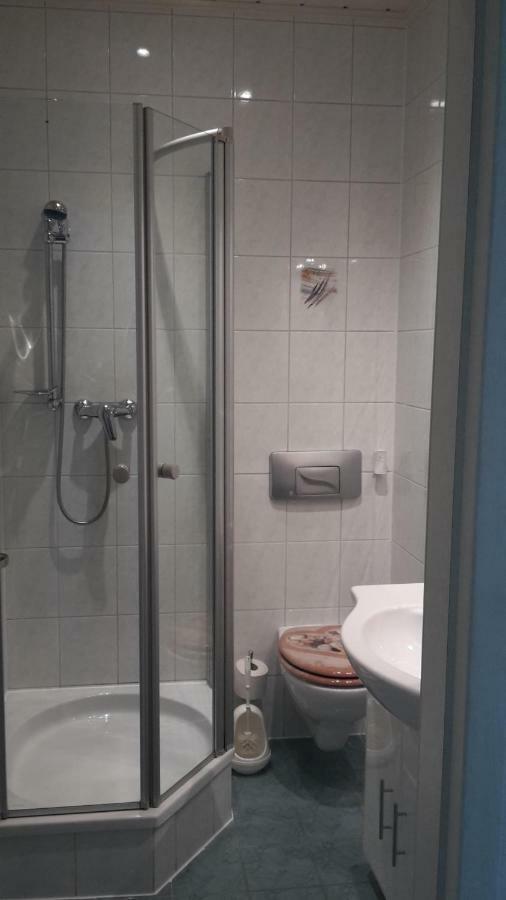 Ferienwohnung "An Der Wuerschnitz" Chemnitz Exteriör bild